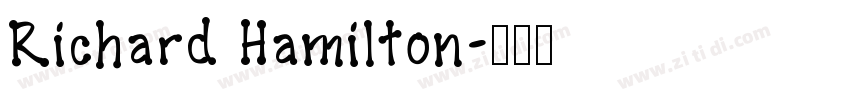 Richard Hamilton字体转换